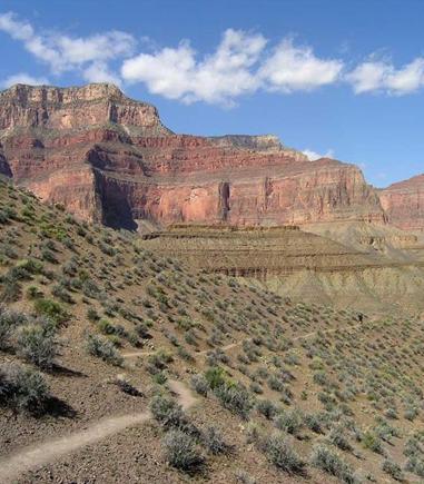 Along the Tonto Trail